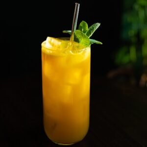 Chilled citrus cocktail garnished with fresh mint leaves in a tall glass with ice.